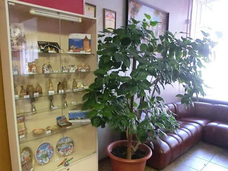 Гостиница Советская Коломна-15