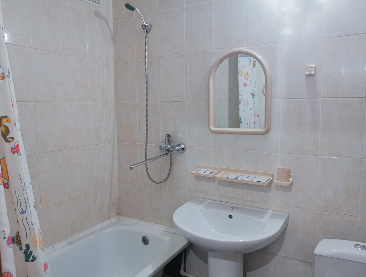 Гостиница Советская Коломна-167