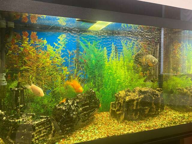 Гостиница Советская Коломна-245